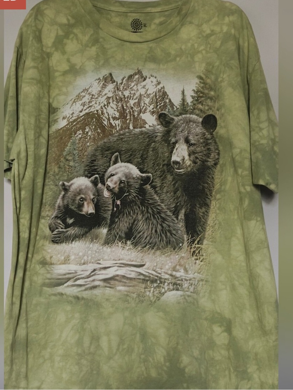 The Mountain Green Tie-Dye Bear Family Sequoia National Park Tee